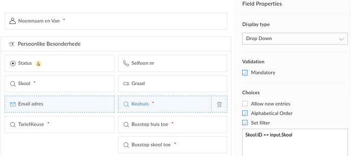 Filter lookup field.png