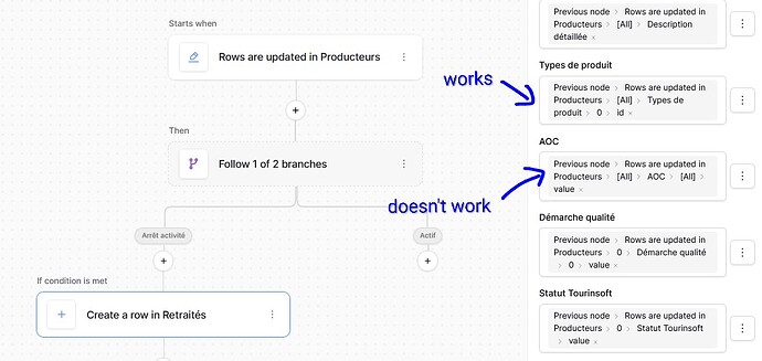 baserow automation